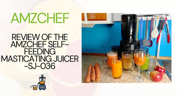 Review of the AMZCHEF Self-Feeding Masticating Juicer