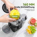 AMZCHEF Slow Juicer 2,5 l Kaltpress-Entsafter mit 2 Filtern