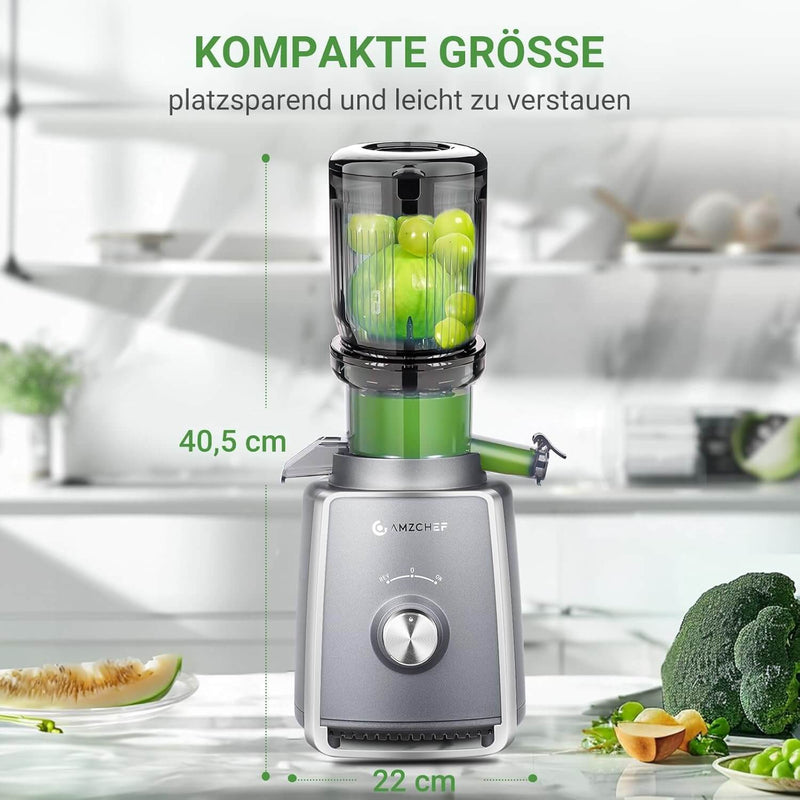 AMZCHEF Entsafter Slow Juicer 103MM Breiter Schacht 250W