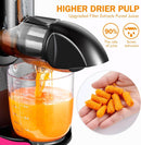 AMZCHEF Langsamer Entsafter 3-in-1 multifunctional slow juicer 