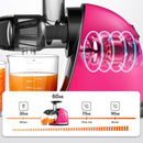 AMZCHEF Langsamer Entsafter 3-in-1 multifunctional slow juicer 