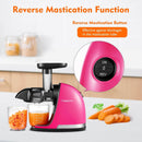 AMZCHEF Langsamer Entsafter 3-in-1 multifunctional slow juicer 