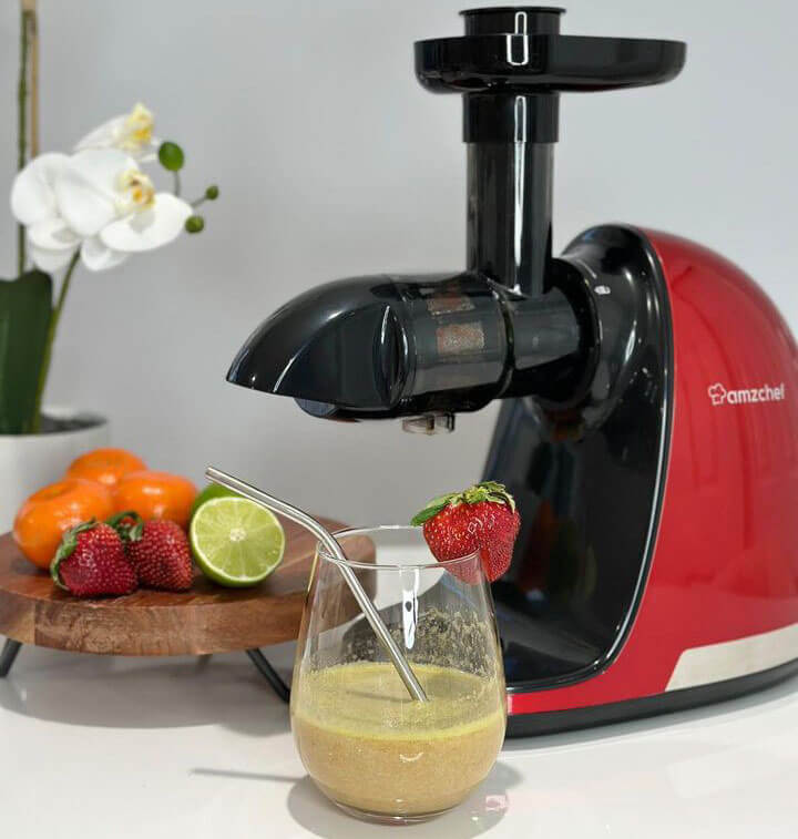 AMZCHEF Entsafter Slow Juicer ZM1501