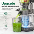 AMZCHEF Slow Masticating Juicer