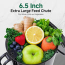 AMZCHEF slow juicer high juice yield low pulp extraction system