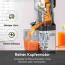 AMZCHEF Entsafter - Slow Juicer mit 135 mm großem Einfüllschacht für ganzes Obst und Gemüse - Leicht zu Reinigen mit 2 Gläsern - Silber
