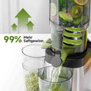AMZCHEF Entsafter - Slow Juicer mit 135 mm großem Einfüllschacht für ganzes Obst und Gemüse - Leicht zu Reinigen mit 2 Gläsern - Silber