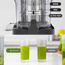 AMZCHEF Entsafter - Slow Juicer mit 135 mm großem Einfüllschacht für ganzes Obst und Gemüse - Leicht zu Reinigen mit 2 Gläsern - Silber