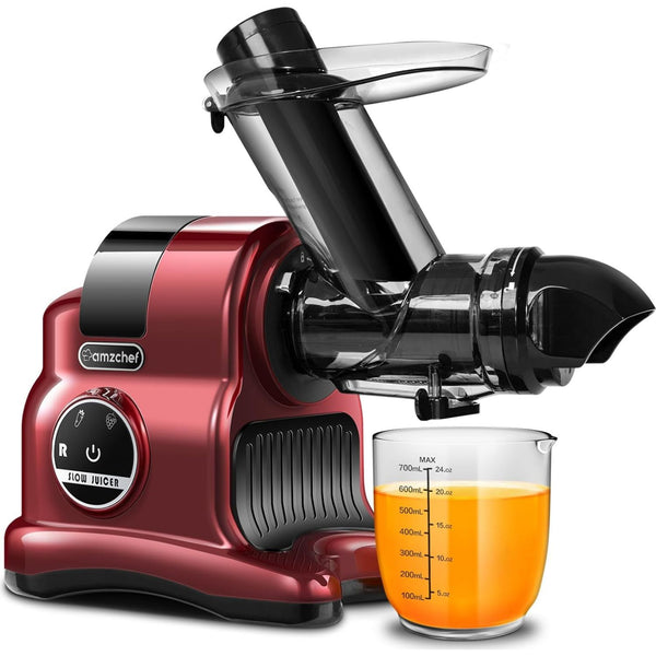 Amzchef Slow Juicer mit 2 Geschwindigkeitsstufen ZM1517B