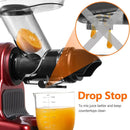 Amzchef Slow Juicer mit 2 Geschwindigkeitsstufen ZM1517B