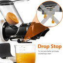 Amzchef Slow Juicer mit 2 Geschwindigkeitsstufen ZM1517B