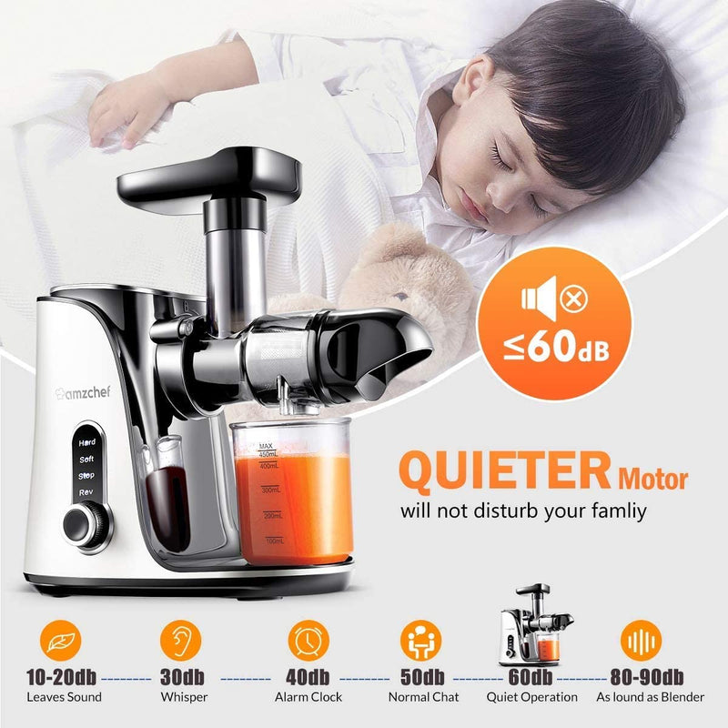 AMZCHEF Entsafter Gemüse und Obst mit 2 Geschwindigkeitsmodi GM3001