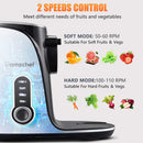 AMZCHEF Entsafter Gemüse und Obst mit 2 Geschwindigkeitsmodi GM3001