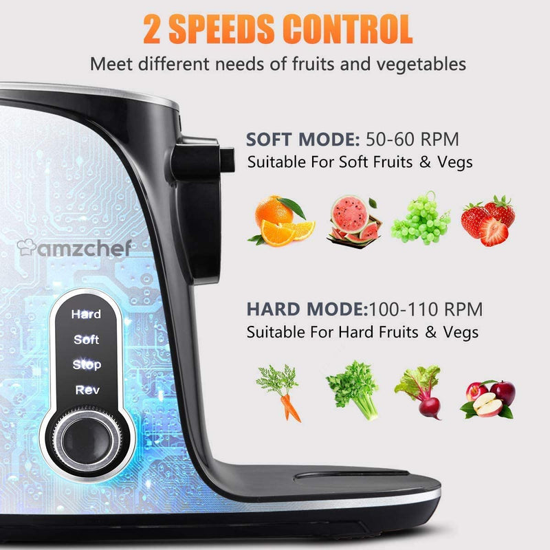 AMZCHEF Entsafter Gemüse und Obst mit 2 Geschwindigkeitsmodi GM3001