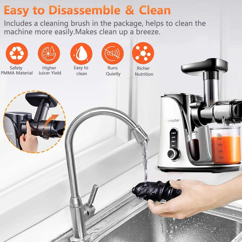 AMZCHEF Entsafter Gemüse und Obst mit 2 Geschwindigkeitsmodi GM3001