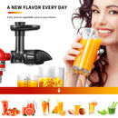 AMZCHEF Entsafter Aufsatz für Standmixer von KitchenAid, Slow Juicer Zitrussaftpresse Zubehör, Kau-Entsafter-Aufsatz für KitchenAid Küchenmaschinen, Gemüse und Obst