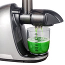 AMZCHEF Slow Juicer Entsafter Gemüse und Obst Profi Entsafter mit Ruhiger Motor & Umkehrfunktion & Saftkanne & Reinigungsbürste