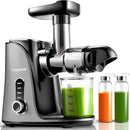 AMZCHEF Slow Juicer  for Fruit and Vegetables, Powerful Juicer GM3001 Grey