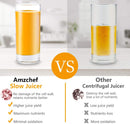 AMZCHEF Slow Juicer Entsafter Gemüse und Obst Profi Entsafter mit Ruhiger Motor & Umkehrfunktion & Saftkanne & Reinigungsbürste