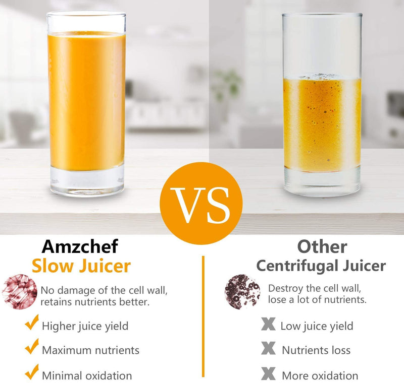 AMZCHEF Slow Juicer Entsafter Gemüse und Obst Profi Entsafter mit Ruhiger Motor & Umkehrfunktion & Saftkanne & Reinigungsbürste