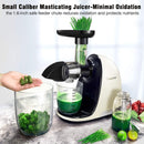 AMZCHEF Slow Juicer Entsafter Gemüse und Obst Profi Entsafter mit Ruhiger Motor & Umkehrfunktion & Saftkanne & Reinigungsbürste
