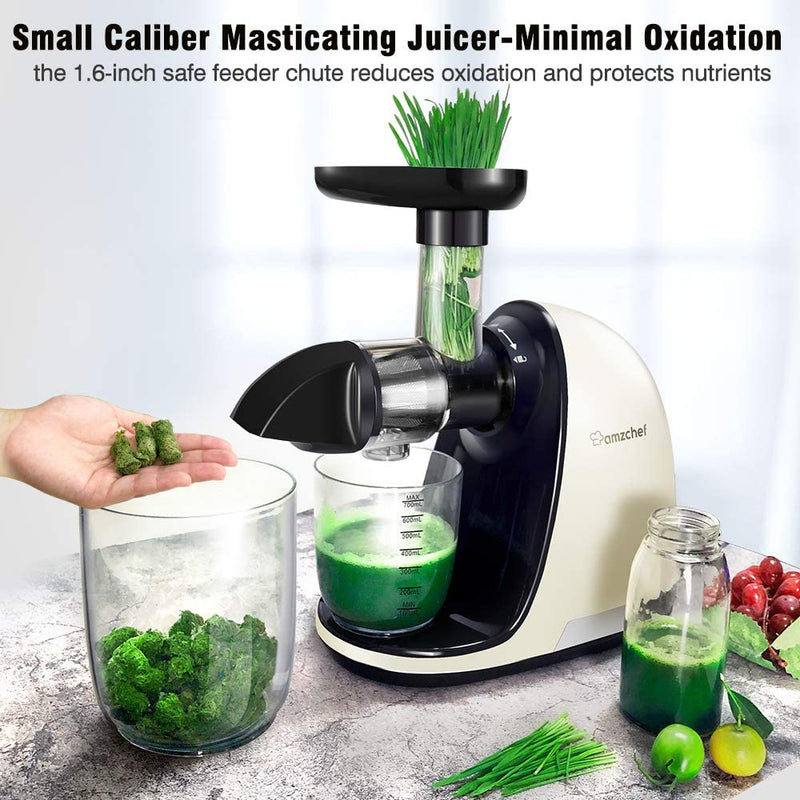 AMZCHEF Slow Juicer Entsafter Gemüse und Obst Profi Entsafter mit Ruhiger Motor & Umkehrfunktion & Saftkanne & Reinigungsbürste