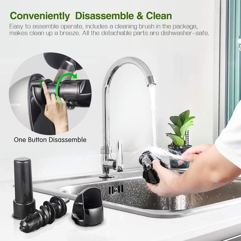 AMZCHEF Slow Juicer Entsafter Gemüse und Obst Profi Entsafter mit Ruhiger Motor & Umkehrfunktion & Saftkanne & Reinigungsbürste