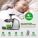 AMZCHEF Slow Juicer Entsafter Gemüse und Obst Profi Entsafter mit Ruhiger Motor & Umkehrfunktion & Saftkanne & Reinigungsbürste