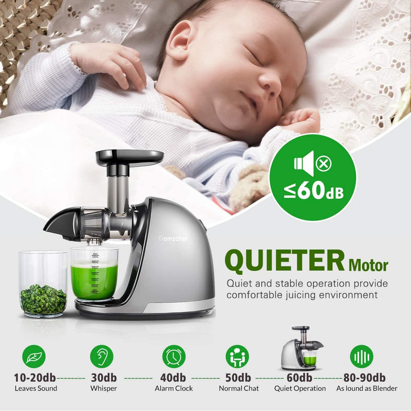 AMZCHEF Slow Juicer Entsafter Gemüse und Obst Profi Entsafter mit Ruhiger Motor & Umkehrfunktion & Saftkanne & Reinigungsbürste