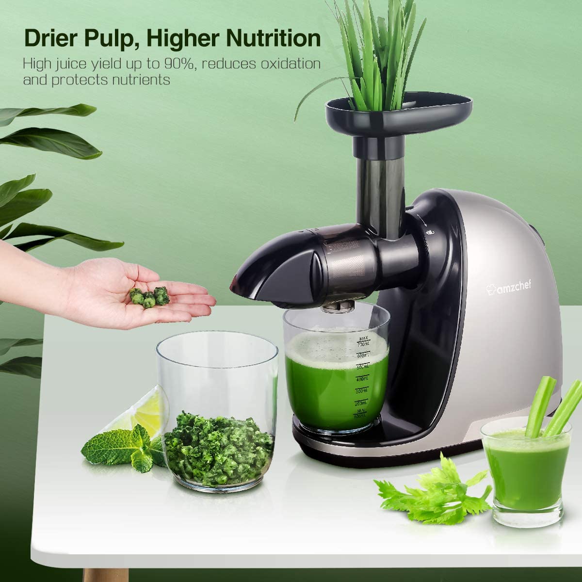 AMZCHEF Slow Juicer Entsafter Gemüse und Obst Profi Entsafter mit Ruhiger Motor & Umkehrfunktion & Saftkanne & Reinigungsbürste