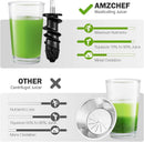 AMZCHEF Slow Juicer Entsafter Gemüse und Obst Profi Entsafter mit Ruhiger Motor & Umkehrfunktion & Saftkanne & Reinigungsbürste